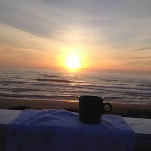 Meet your Posher, Jodi